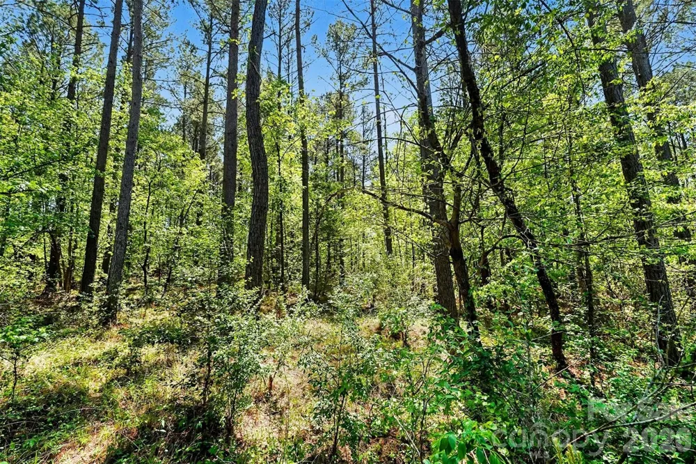 4337 Persimmon Road Lancaster, SC 29720