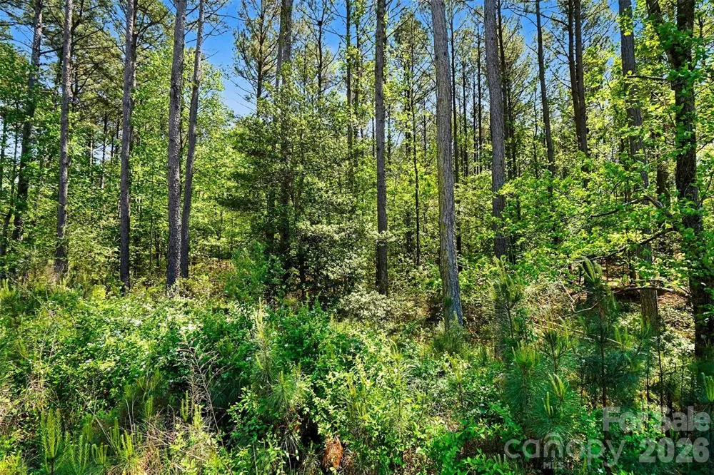 4337 Persimmon Road Lancaster, SC 29720