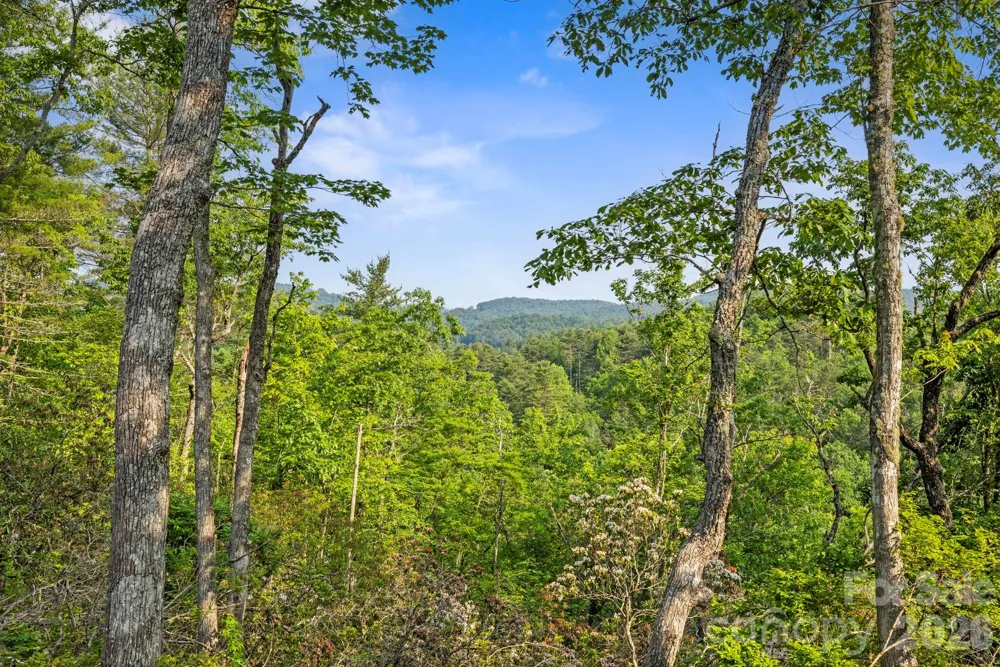 251 Paul McCoy Road Lake Toxaway, NC 28747