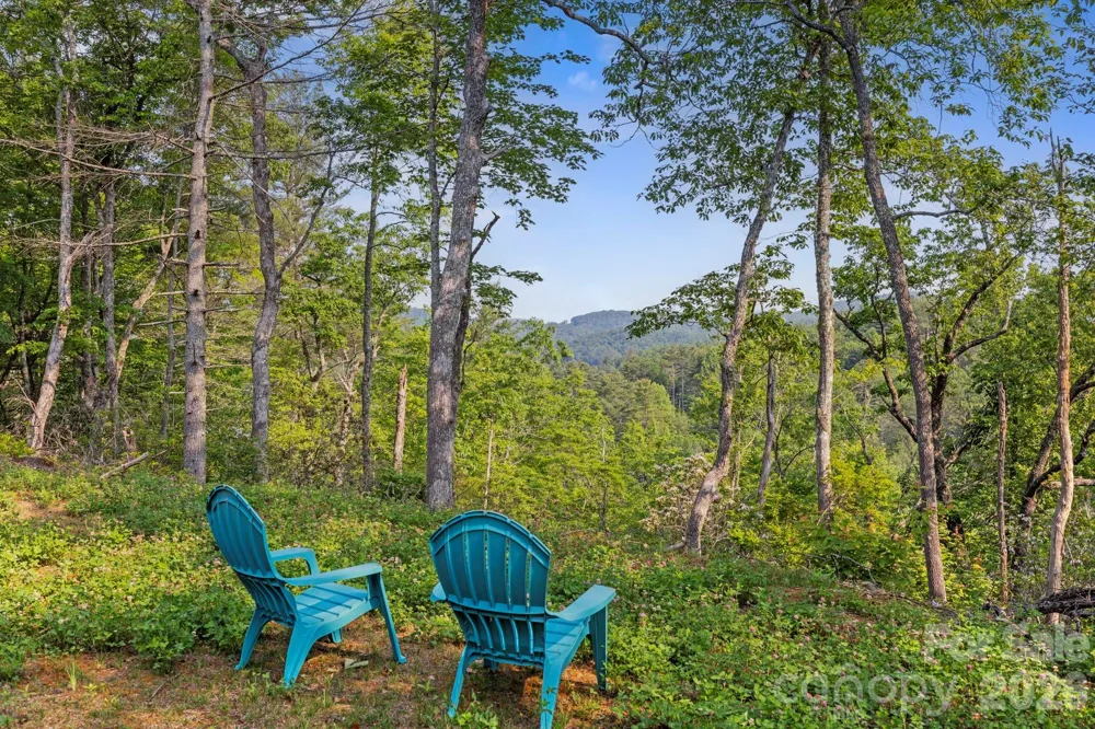 251 Paul McCoy Road Lake Toxaway, NC 28747
