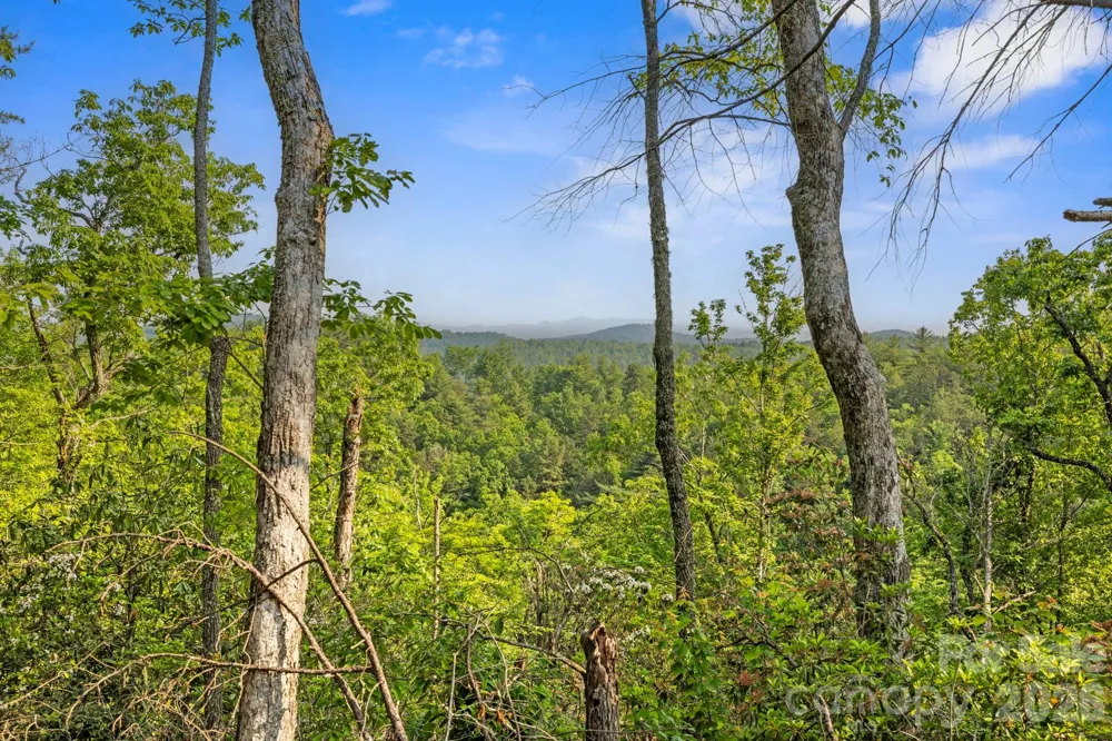 251 Paul McCoy Road Lake Toxaway, NC 28747