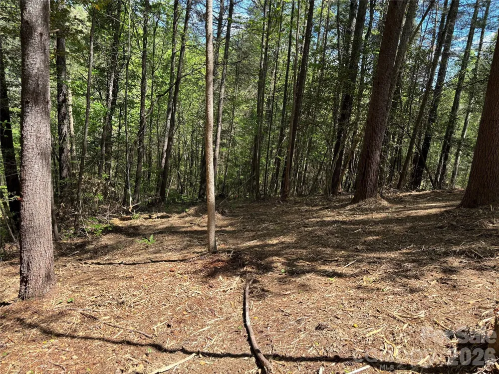 1665 Round Mountain Parkway #69 Lenoir, NC 28645