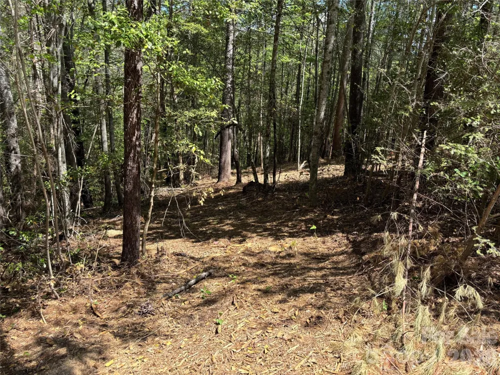 1665 Round Mountain Parkway #69 Lenoir, NC 28645