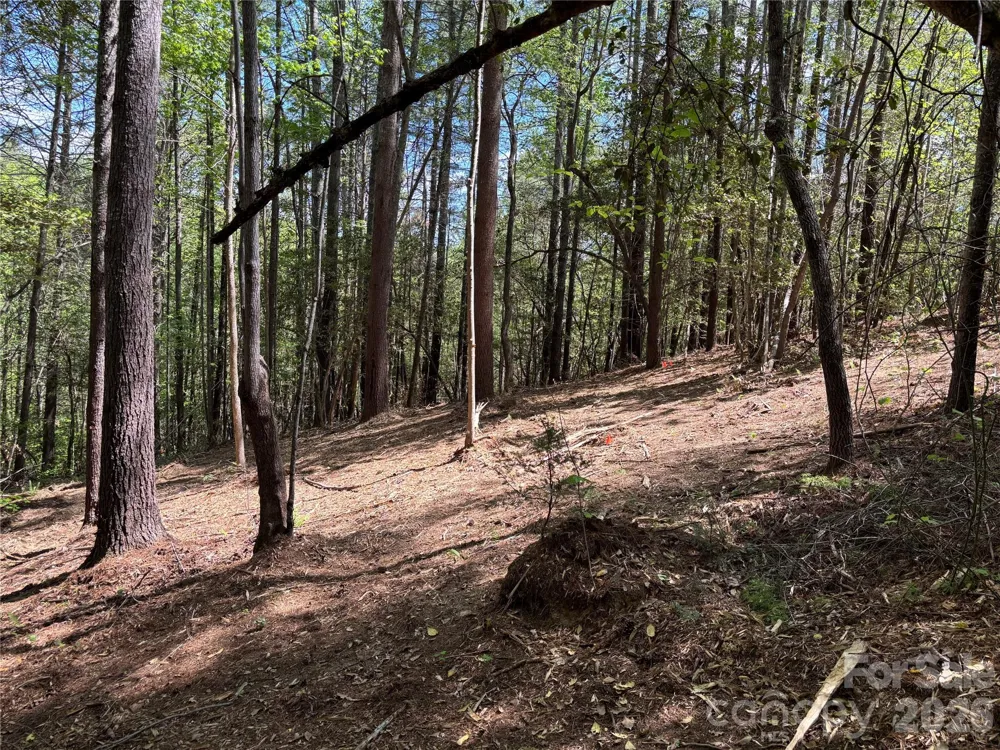 1665 Round Mountain Parkway #69 Lenoir, NC 28645