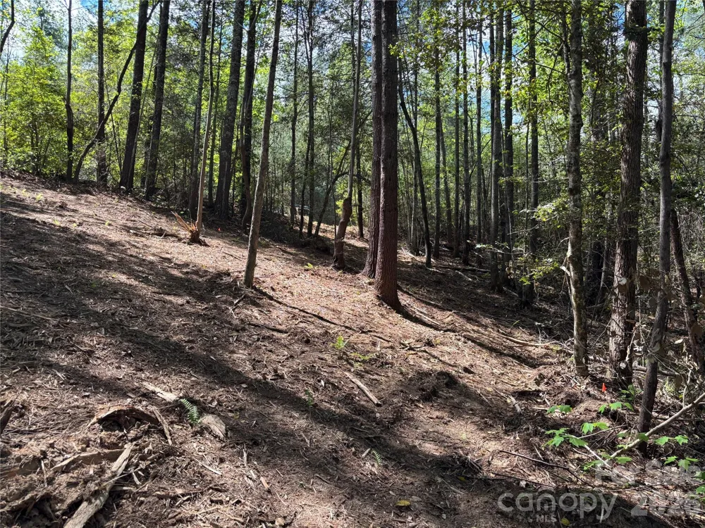 1665 Round Mountain Parkway #69 Lenoir, NC 28645