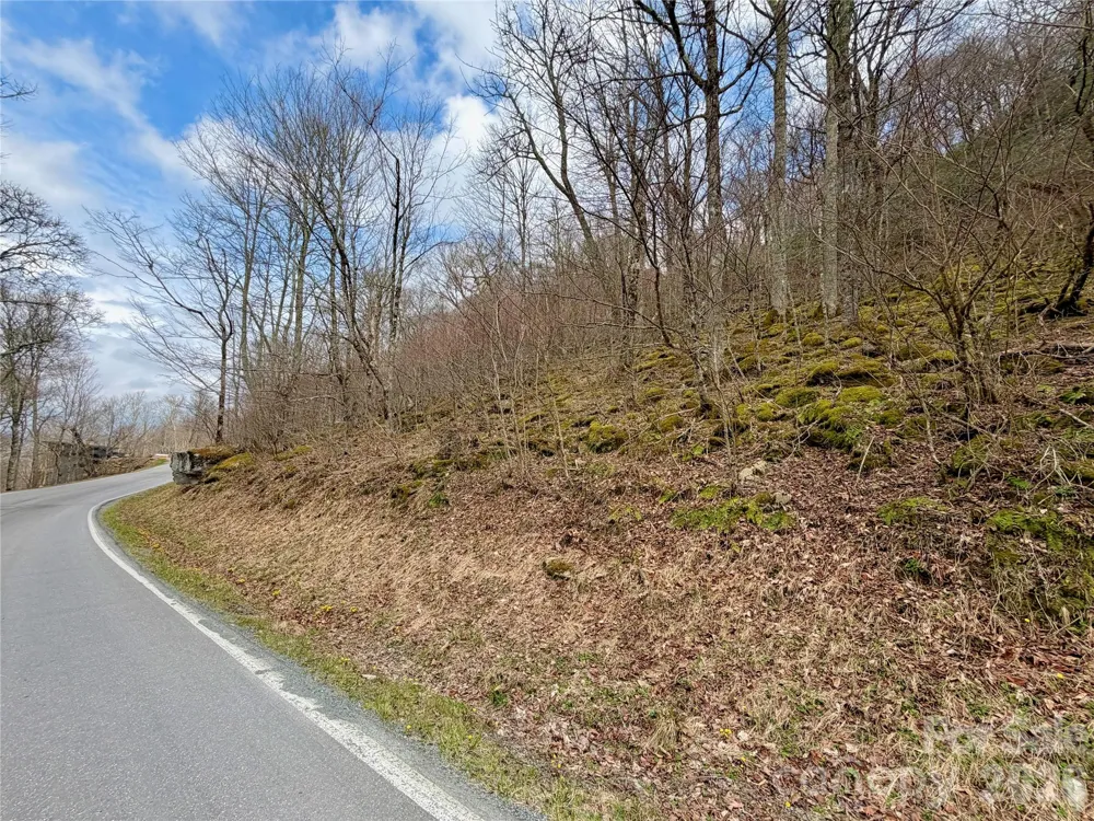 TBD Grouse Moor Drive Sugar Mountain, NC 28604