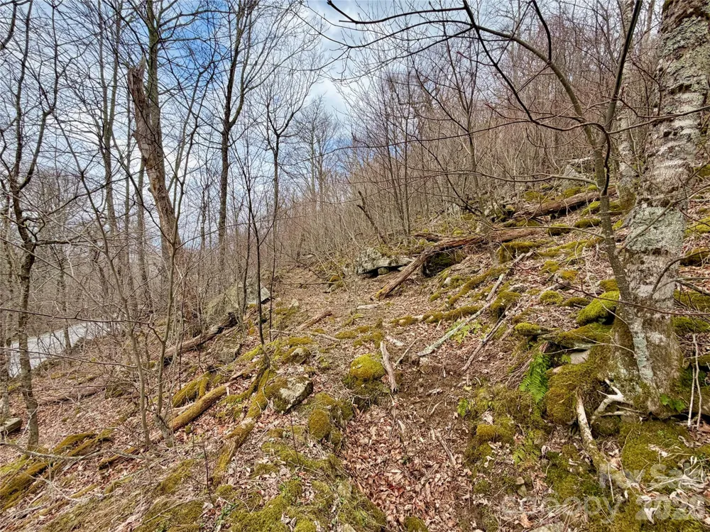 TBD Grouse Moor Drive Sugar Mountain, NC 28604