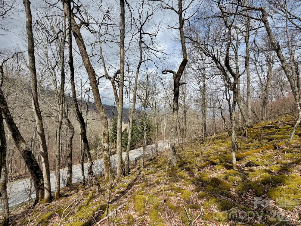 TBD Grouse Moor Drive Sugar Mountain, NC 28604