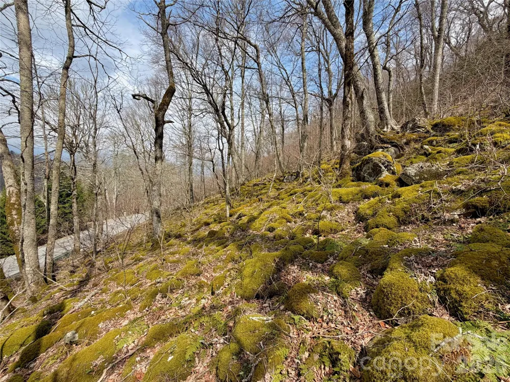 TBD Grouse Moor Drive Sugar Mountain, NC 28604