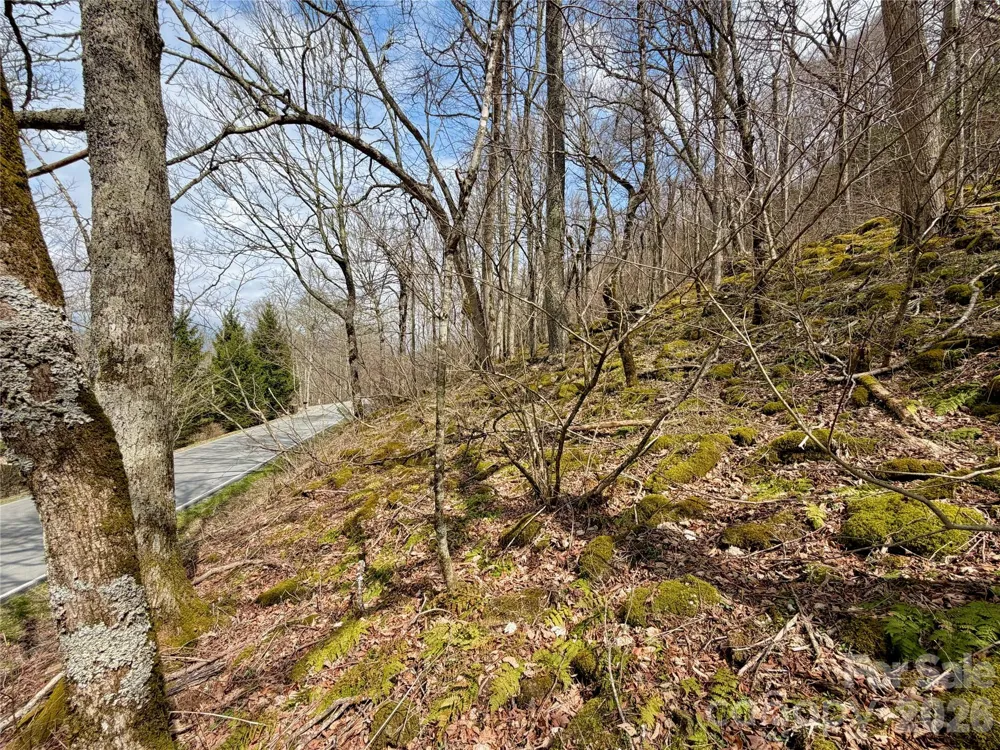 TBD Grouse Moor Drive Sugar Mountain, NC 28604
