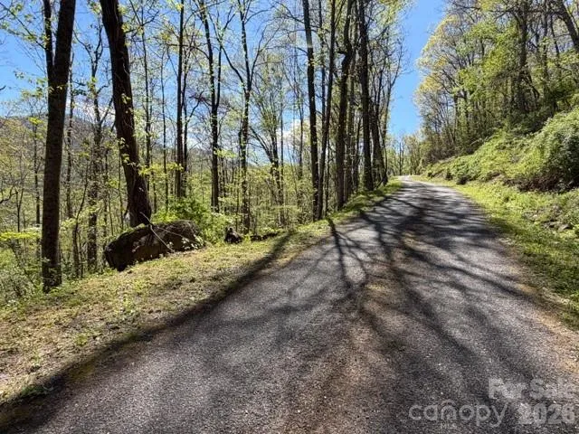 0000 Greenview Drive Maggie Valley, NC 28751