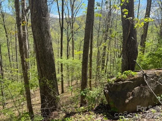 0000 Greenview Drive Maggie Valley, NC 28751
