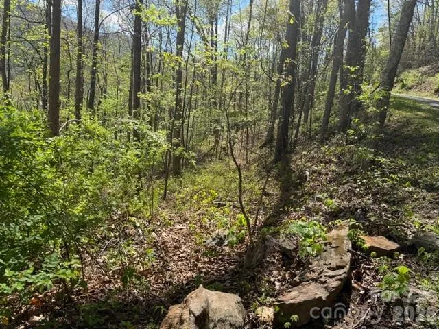 0000 Greenview Drive Maggie Valley, NC 28751