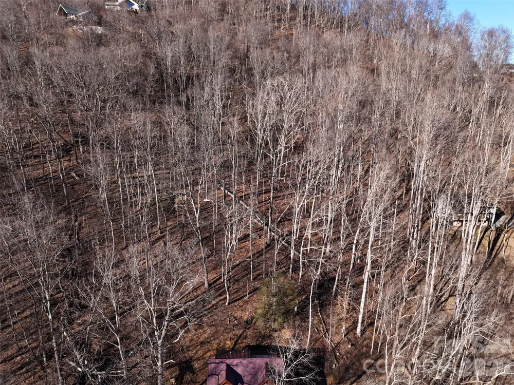 0000 Greenview Drive Maggie Valley, NC 28751