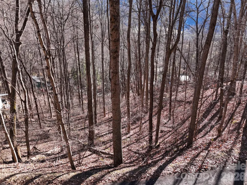 0000 Greenview Drive Maggie Valley, NC 28751