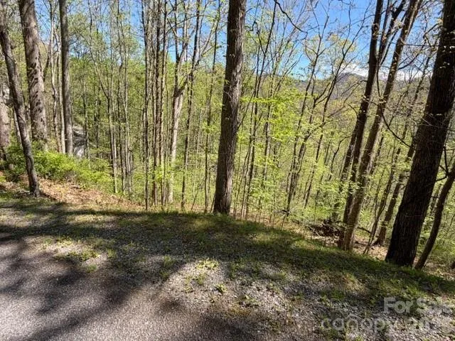 0000 Greenview Drive Maggie Valley, NC 28751