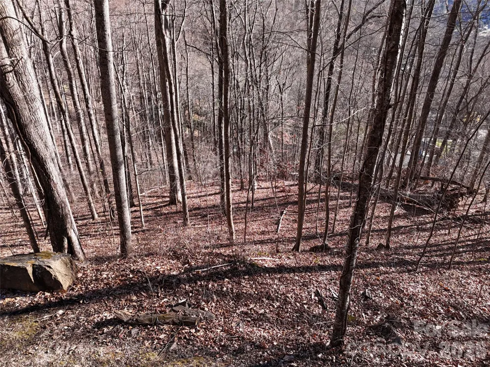 0000 Greenview Drive Maggie Valley, NC 28751