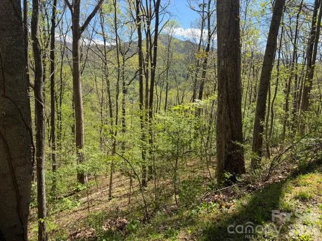 0000 Greenview Drive Maggie Valley, NC 28751