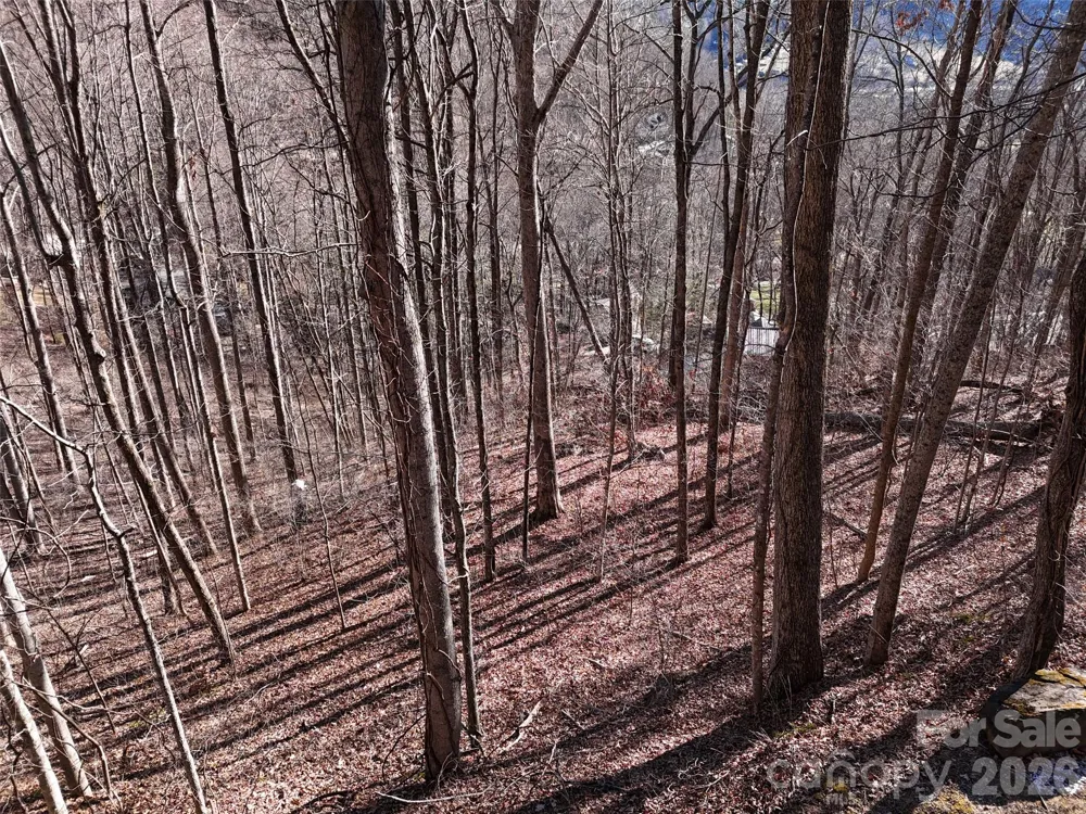 0000 Greenview Drive Maggie Valley, NC 28751