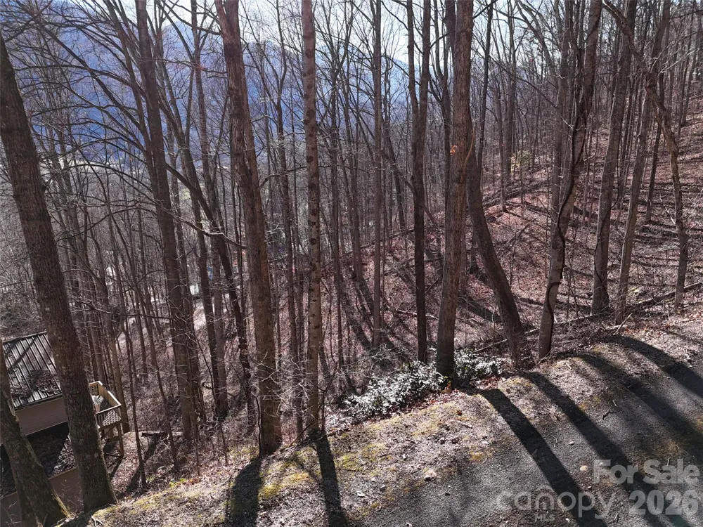 0000 Greenview Drive Maggie Valley, NC 28751