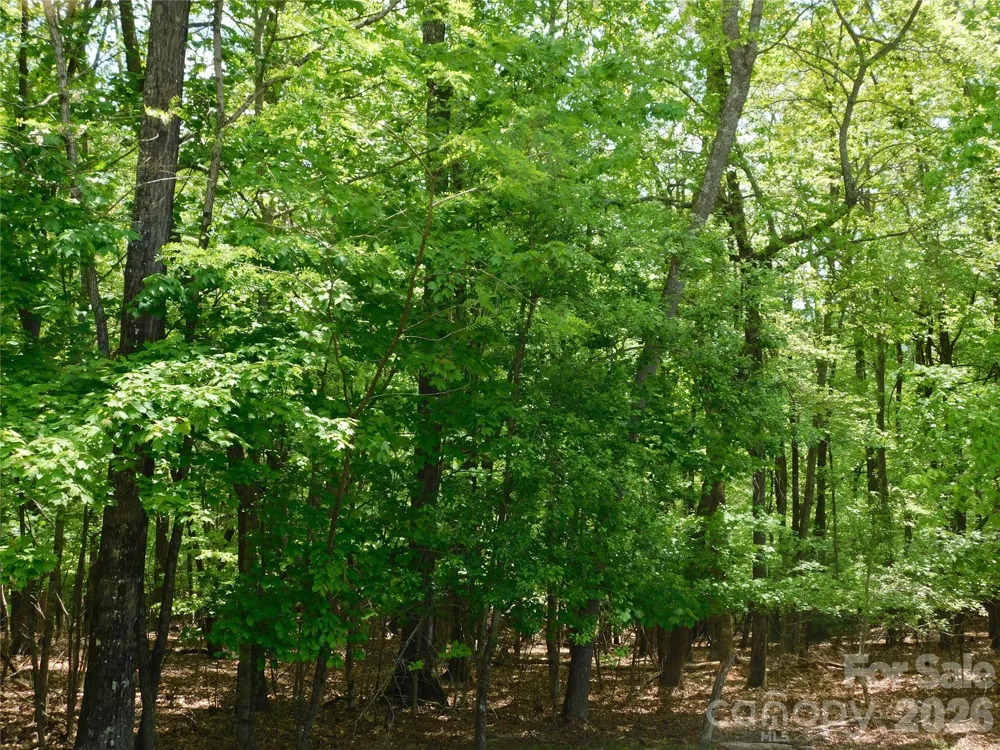 1064 Skye Drive Pisgah Forest, NC 28768