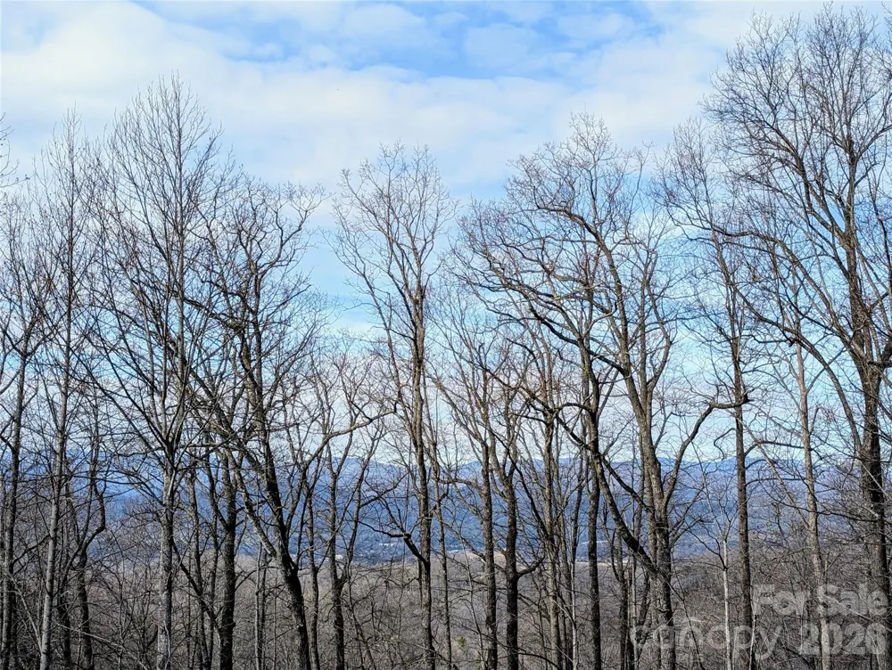 1064 Skye Drive Pisgah Forest, NC 28768