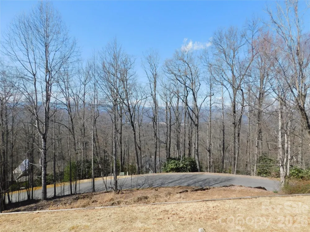 1064 Skye Drive Pisgah Forest, NC 28768