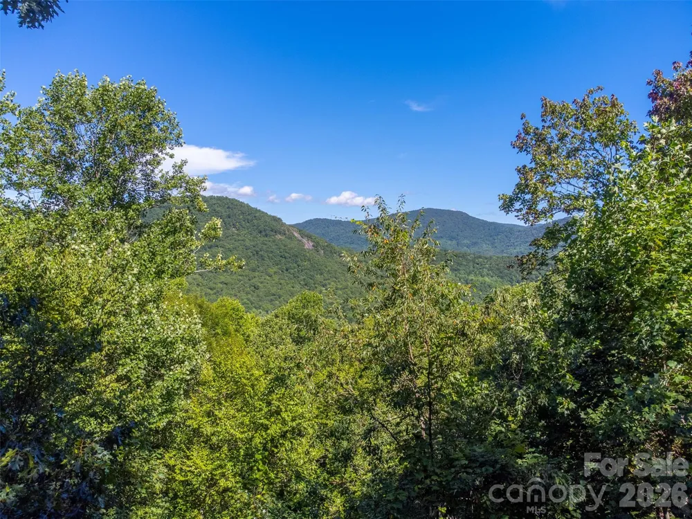 1838 Coman Road Franklin, NC 28734