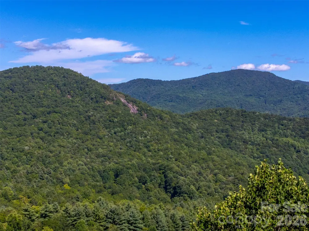 1838 Coman Road Franklin, NC 28734