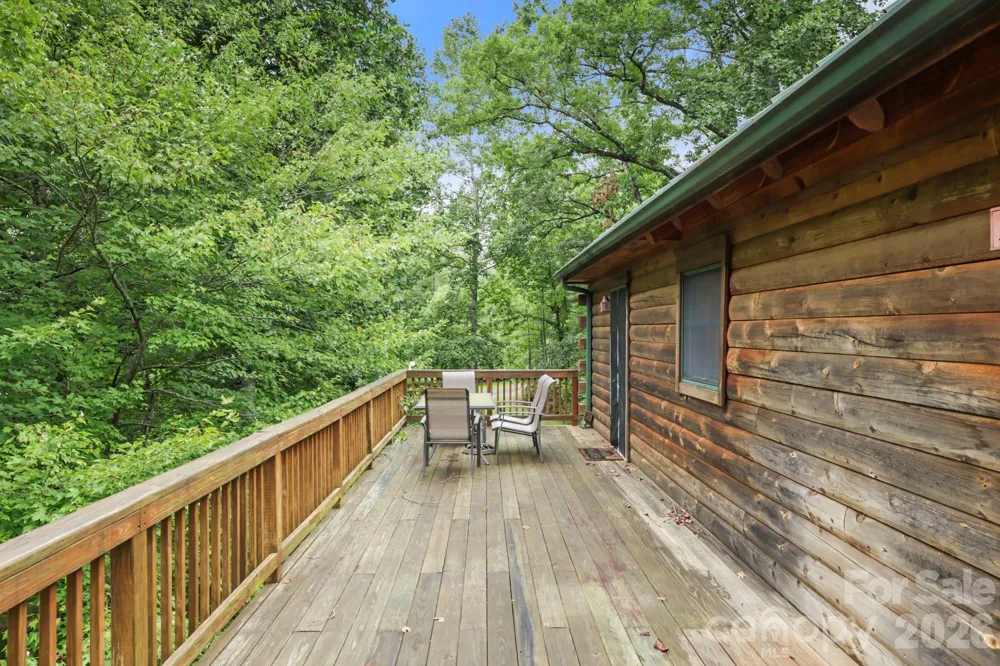 266 Rhododendron Drive Saluda, NC 28773