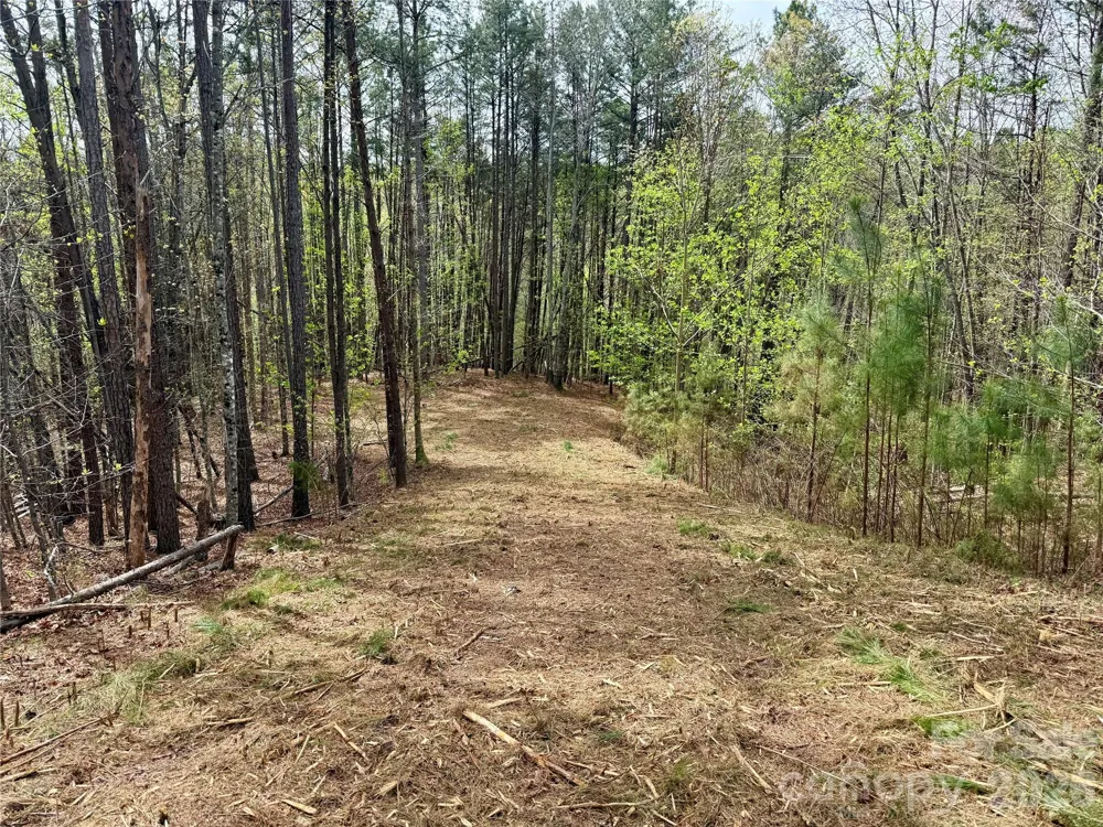 Lot 488 Bella Vista Way #488 Nebo, NC 28761
