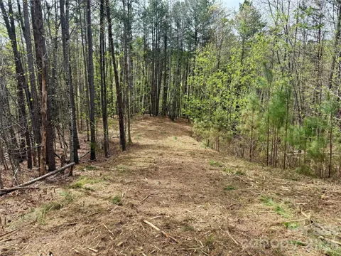 Lot 488 Bella Vista Way #488