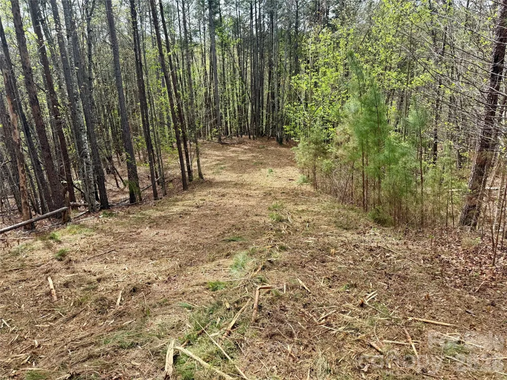 Lot 488 Bella Vista Way #488 Nebo, NC 28761