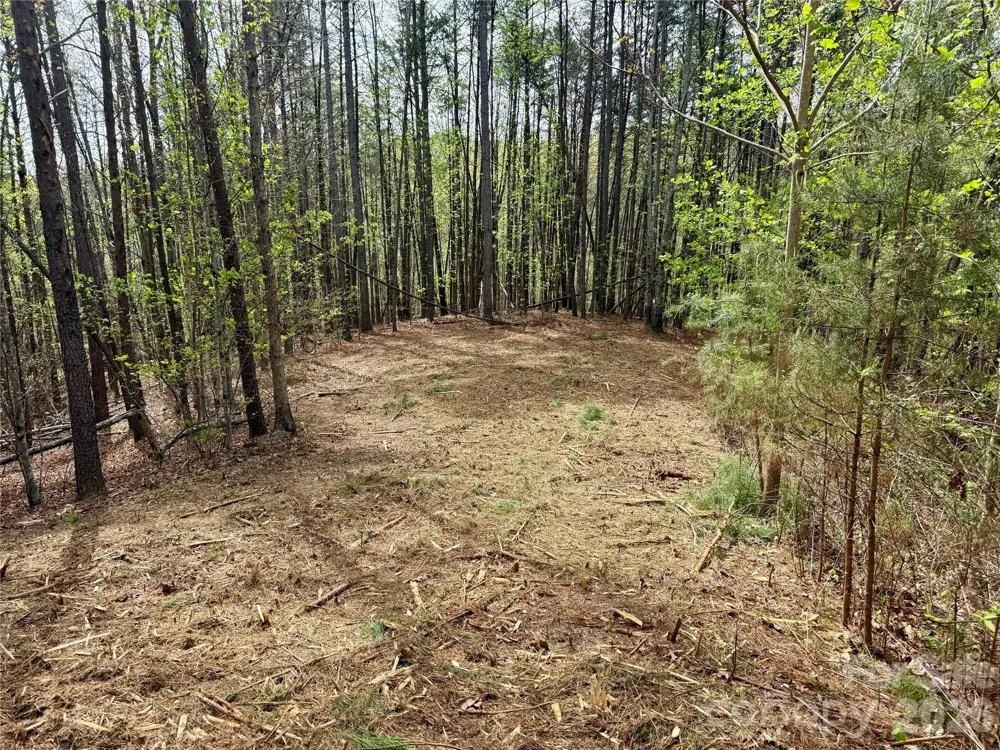 Lot 488 Bella Vista Way #488 Nebo, NC 28761