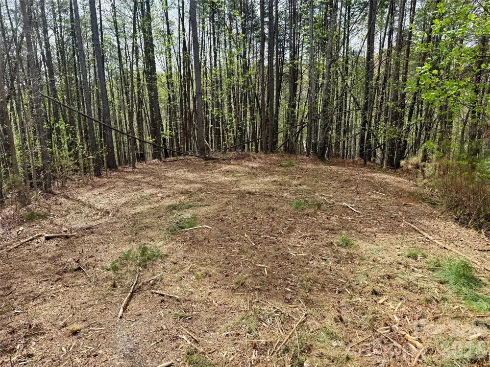 Lot 488 Bella Vista Way #488 Nebo, NC 28761