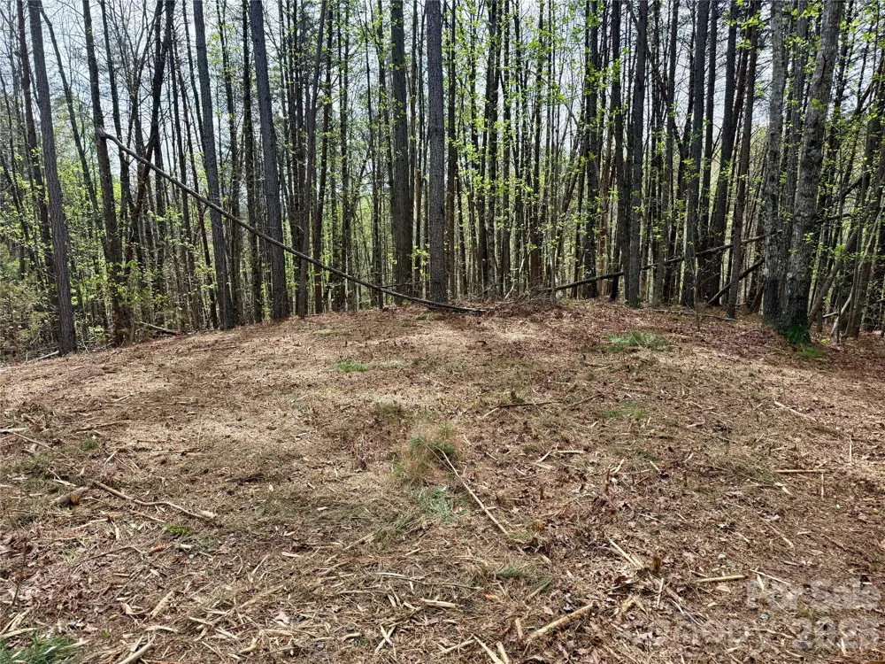 Lot 488 Bella Vista Way #488 Nebo, NC 28761