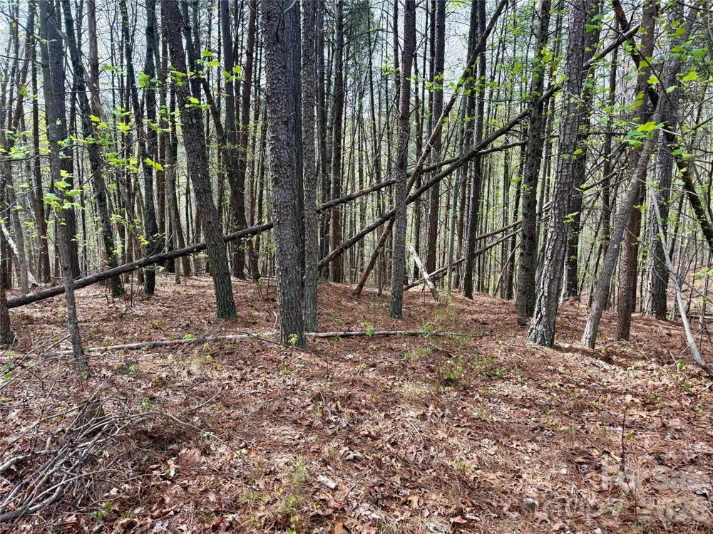 Lot 488 Bella Vista Way #488 Nebo, NC 28761