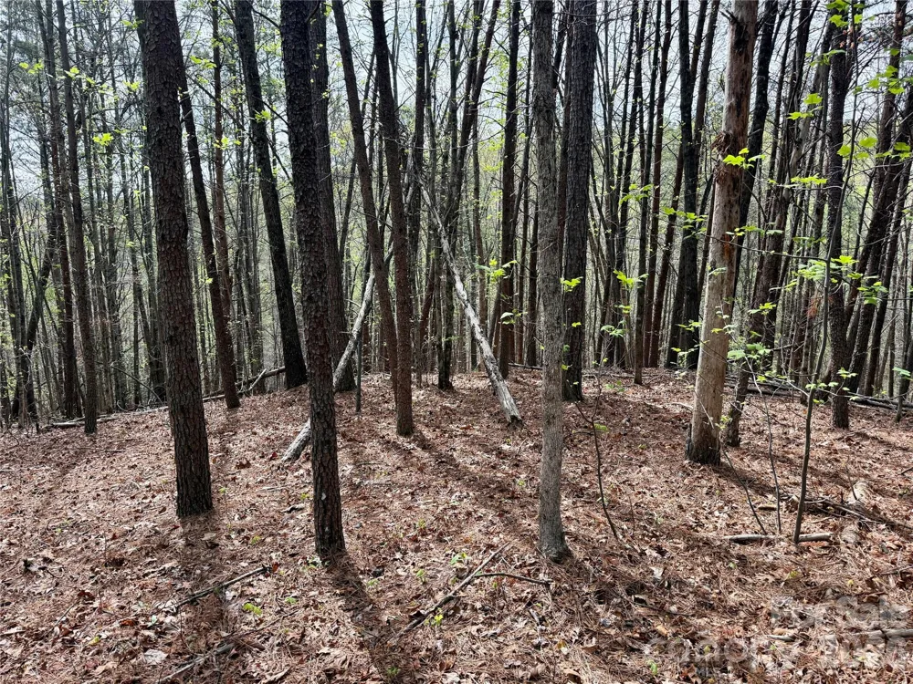 Lot 488 Bella Vista Way #488 Nebo, NC 28761