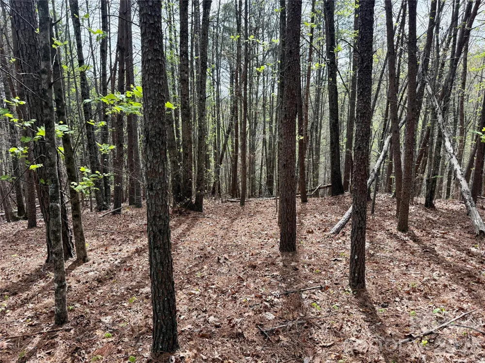 Lot 488 Bella Vista Way #488 Nebo, NC 28761