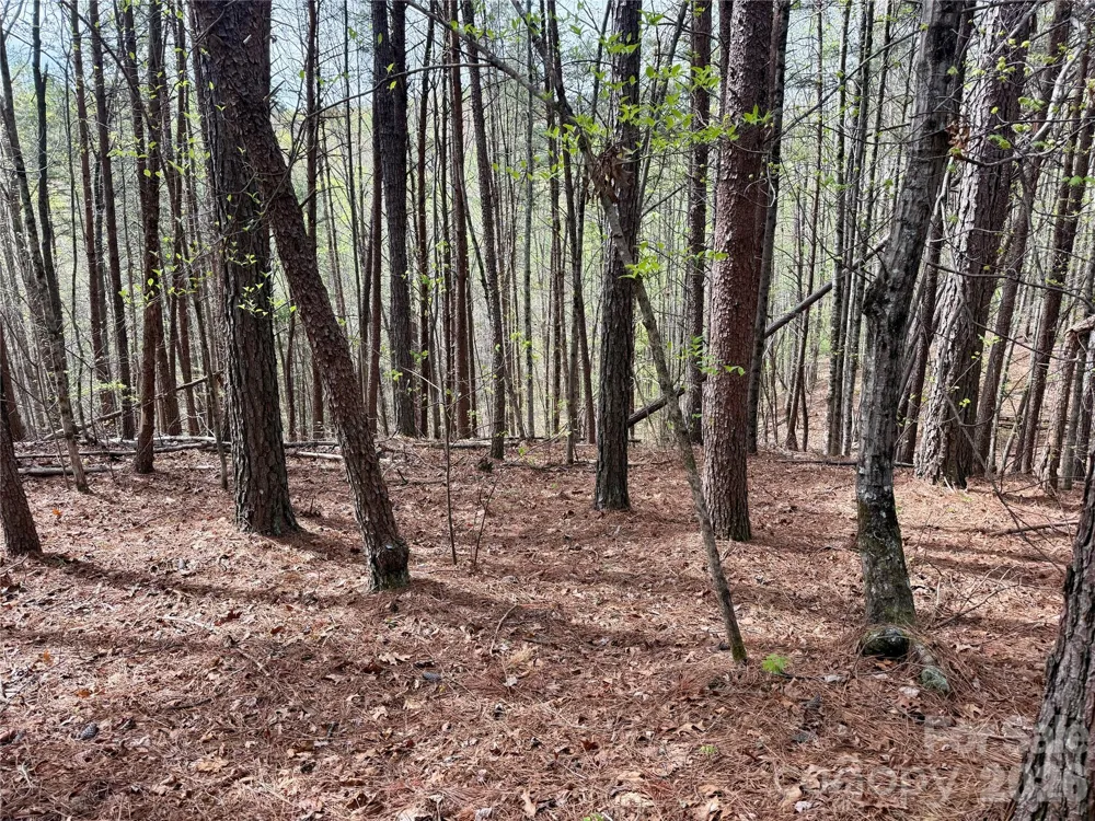 Lot 488 Bella Vista Way #488 Nebo, NC 28761