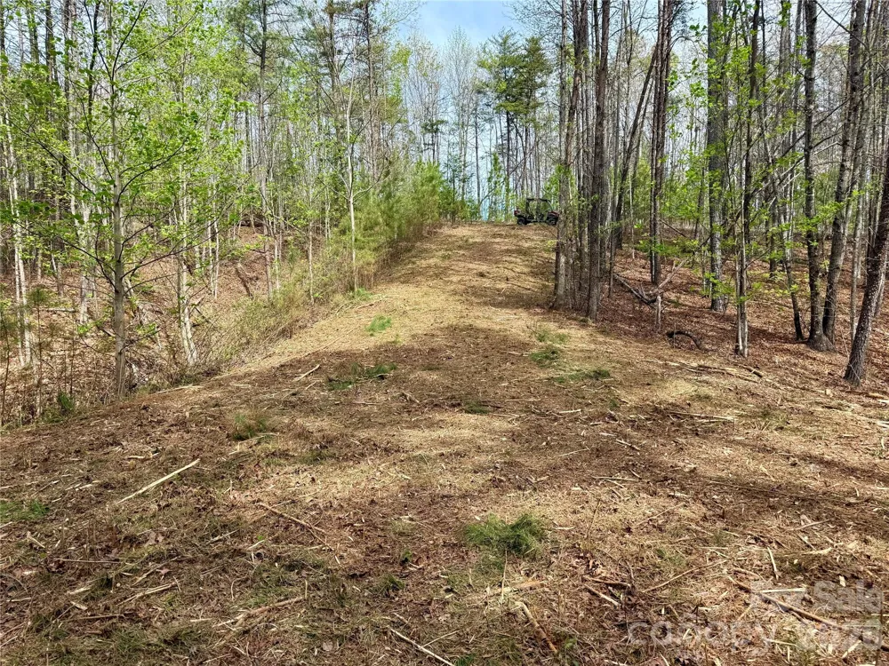 Lot 488 Bella Vista Way #488 Nebo, NC 28761