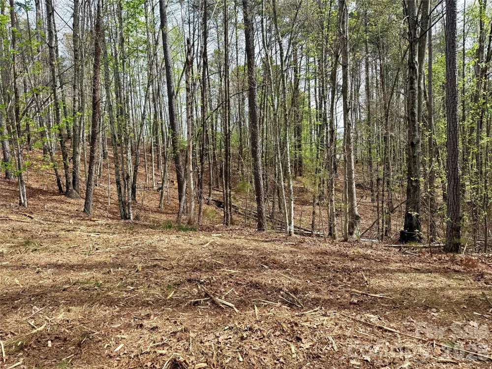 Lot 488 Bella Vista Way #488 Nebo, NC 28761