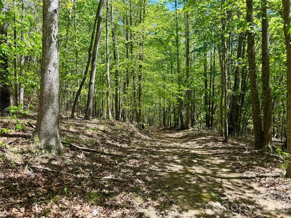 Lot 488 Bella Vista Way #488 Nebo, NC 28761