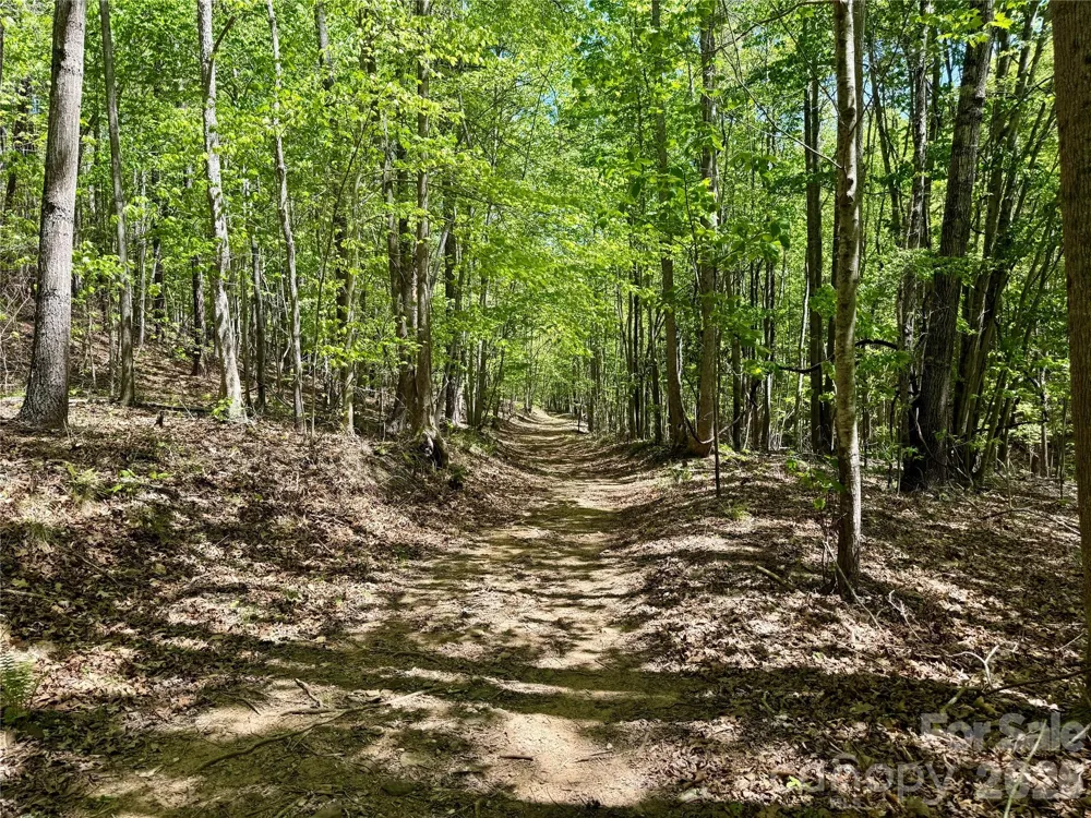 Lot 488 Bella Vista Way #488 Nebo, NC 28761