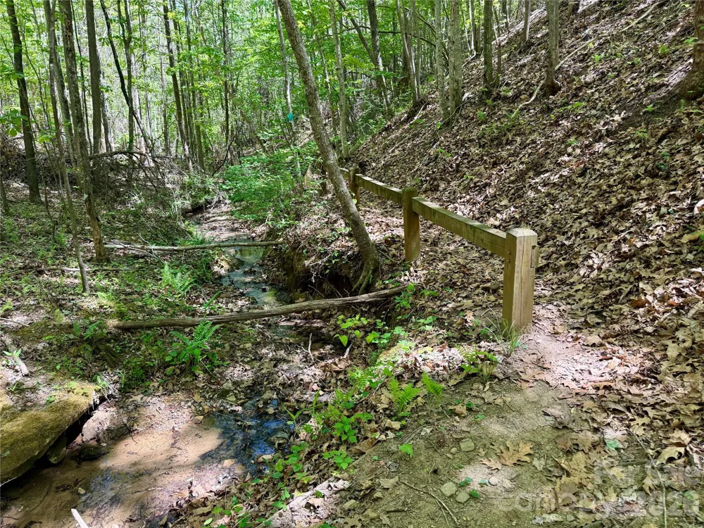Lot 488 Bella Vista Way #488 Nebo, NC 28761