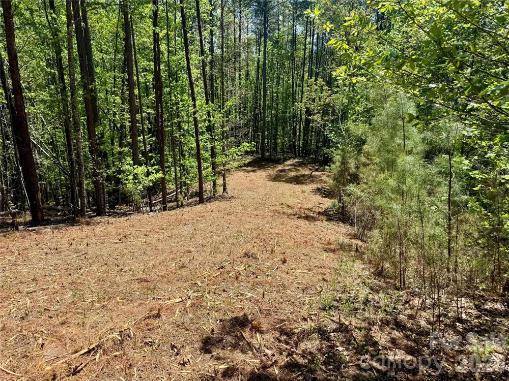 Lot 488 Bella Vista Way #488 Nebo, NC 28761