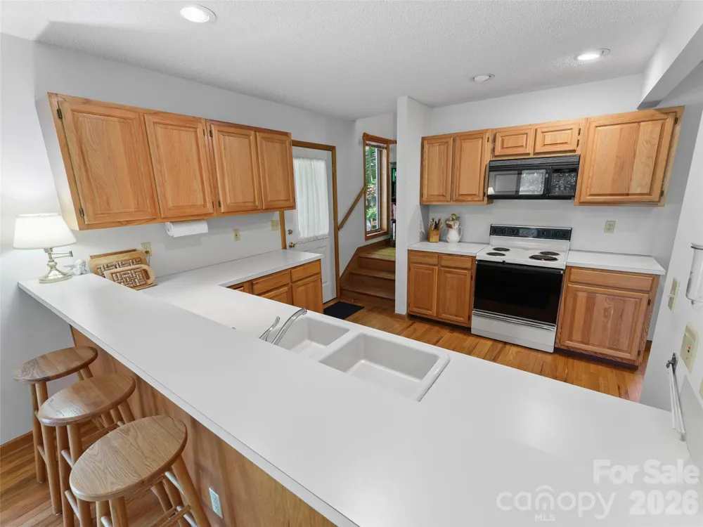 43 Hungryneck Hollow Lane Saluda, NC 28773