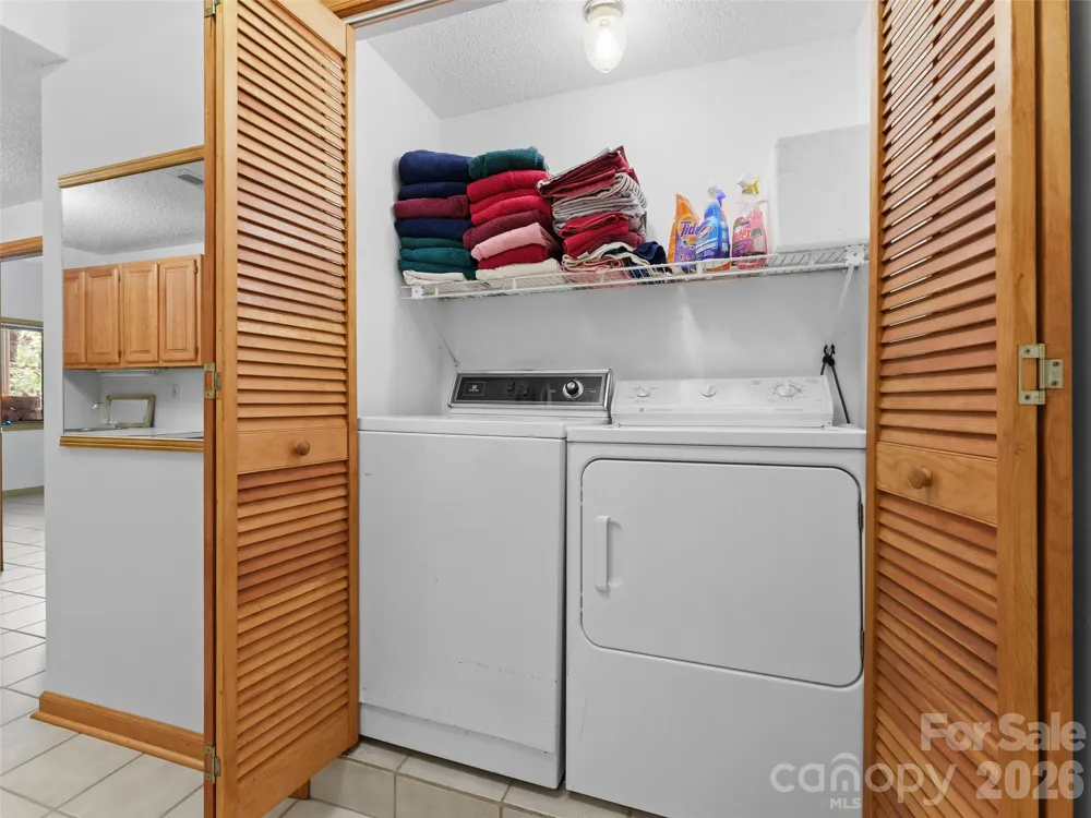 43 Hungryneck Hollow Lane Saluda, NC 28773