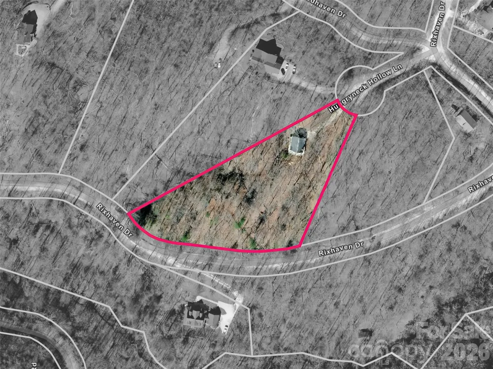 43 Hungryneck Hollow Lane Saluda, NC 28773