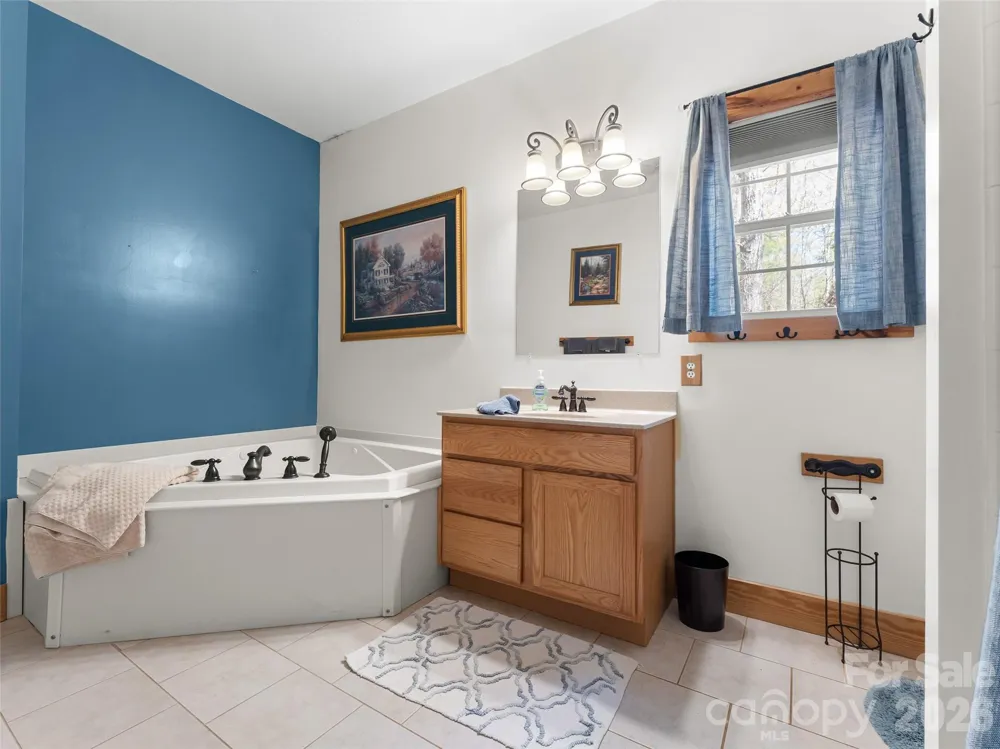 462 Deep Woods Lane Saluda, NC 28773